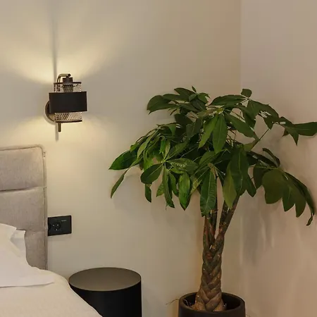 Tripon Cozy Spot קלוז'-נאפוקה