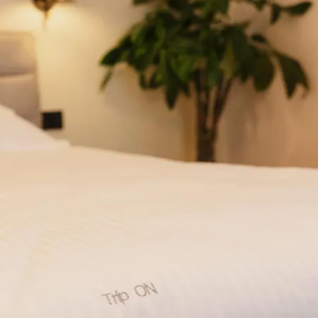 Tripon Cozy Spot קלוז'-נאפוקה