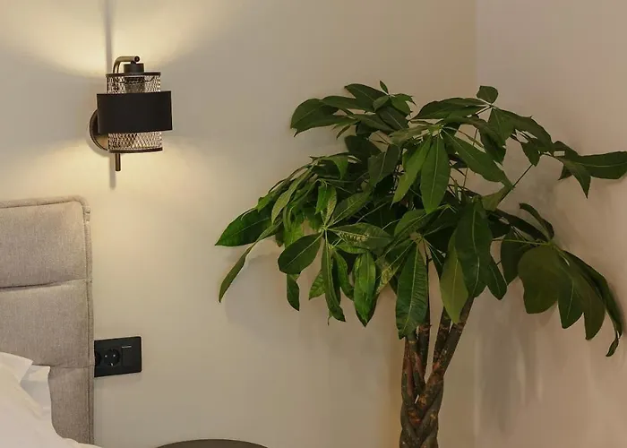 Tripon Cozy Spot Cluj-Napoca